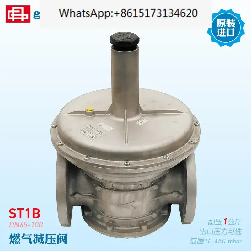 Giuliani 감압밸브 FS1B65 ST1B80 STR100D/CE FSDR 플랜지 필터 코튼 포함