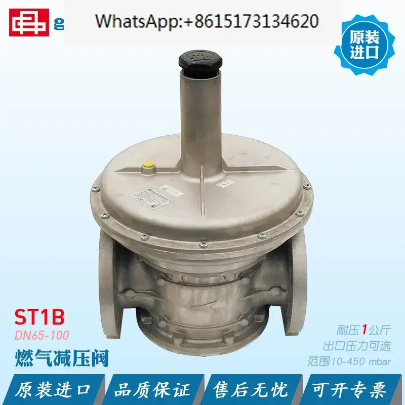 Giuliani 감압밸브 FS1B65 ST1B80 STR100D/CE FSDR 플랜지 필터 코튼 포함