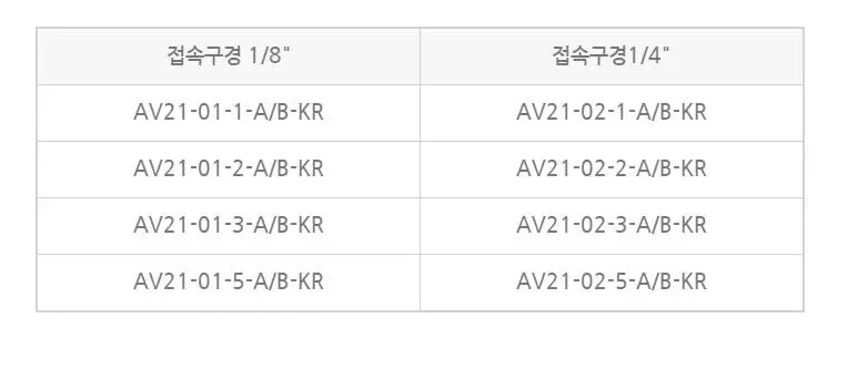 21 시리즈 SN 오리지널 21-02-2-A-KR/21-02-3-A-KR