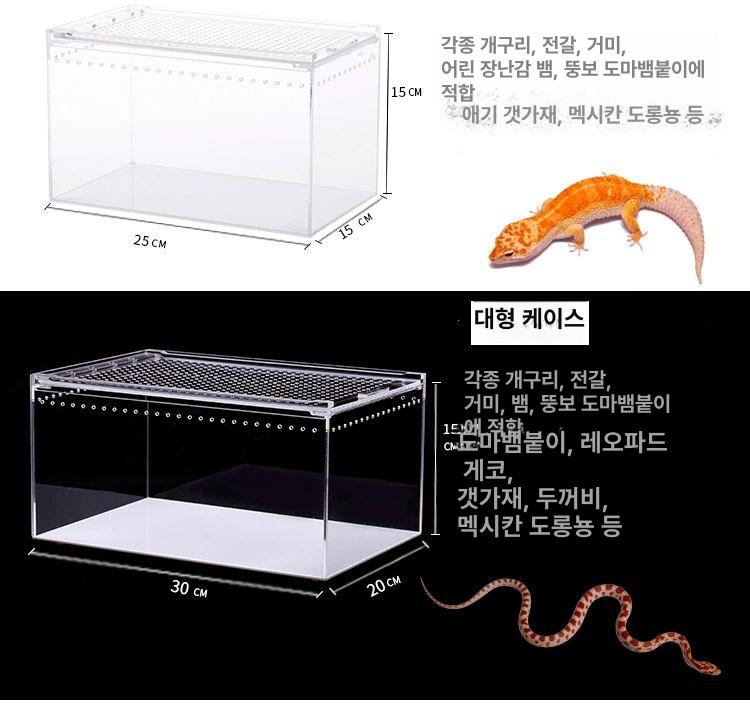파충류사육장 투명 아크릴 거미집 도마뱀 레오파드게코 부화기 온도조절 - 상세 이미지 3