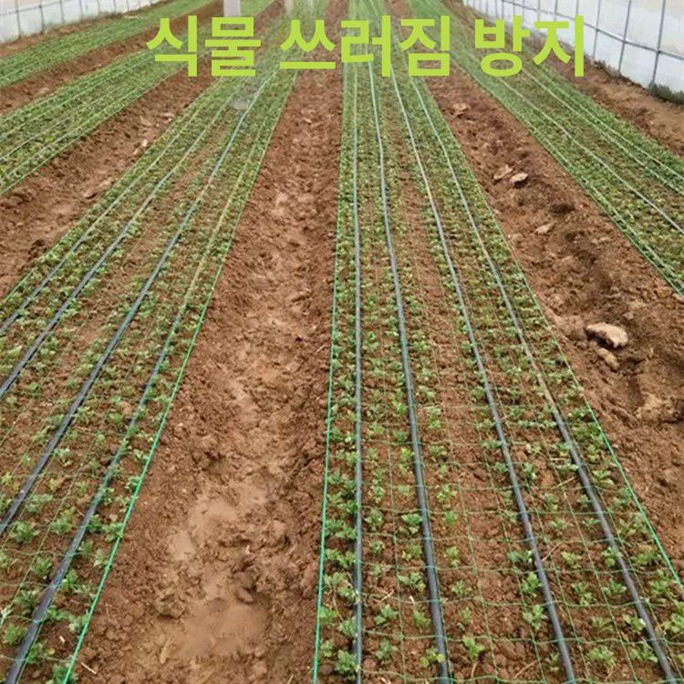 절화망 농작물 수량 조절용 격자망 네트 화훼 재배용 식물 보호망 고추 가지 텃밭 - 상세 이미지 4