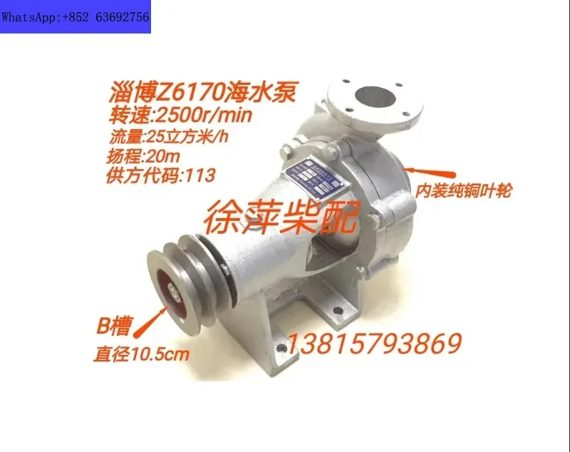 Zibo D iesel 엔진 특수 해수 펌프 8170 헤드