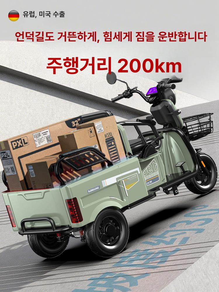 스쿠터 삼륜전동차 농업용 과수원 팜트럭 농촌 전기차 운반 리튬 화물 배터리 - 상세 이미지 4