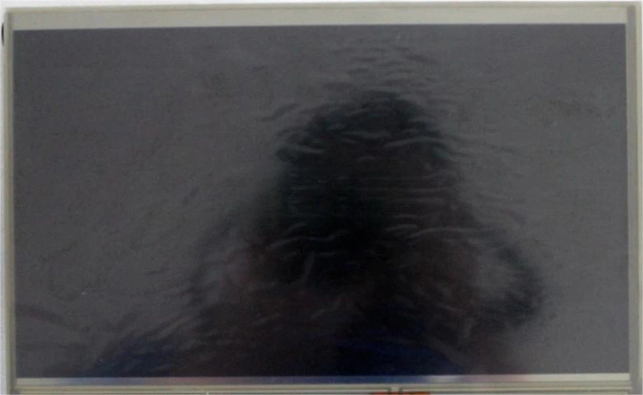AM-1024600L2HMQW-T01H LCD 디스플레이 화면