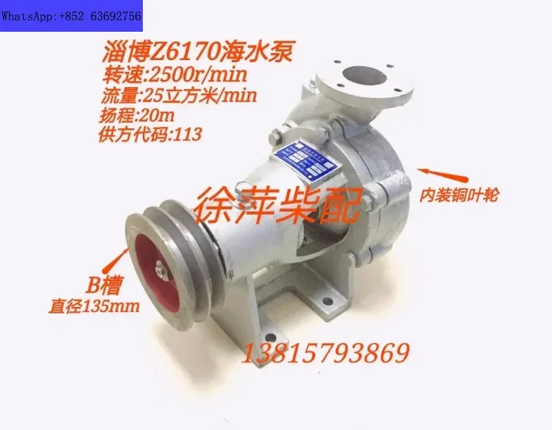 Zibo D iesel 엔진 특수 해수 펌프 8170 헤드