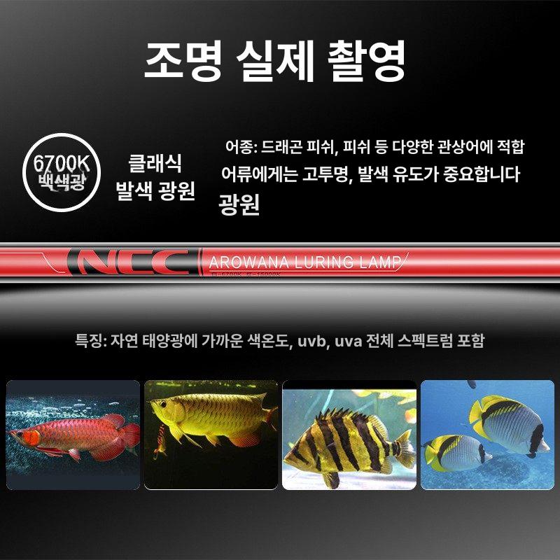 수족관 램프 태닝등 LED 홍용 조명 라이트 수중등 어항 붉은 수초등 과배 효과 색상 이미지 6