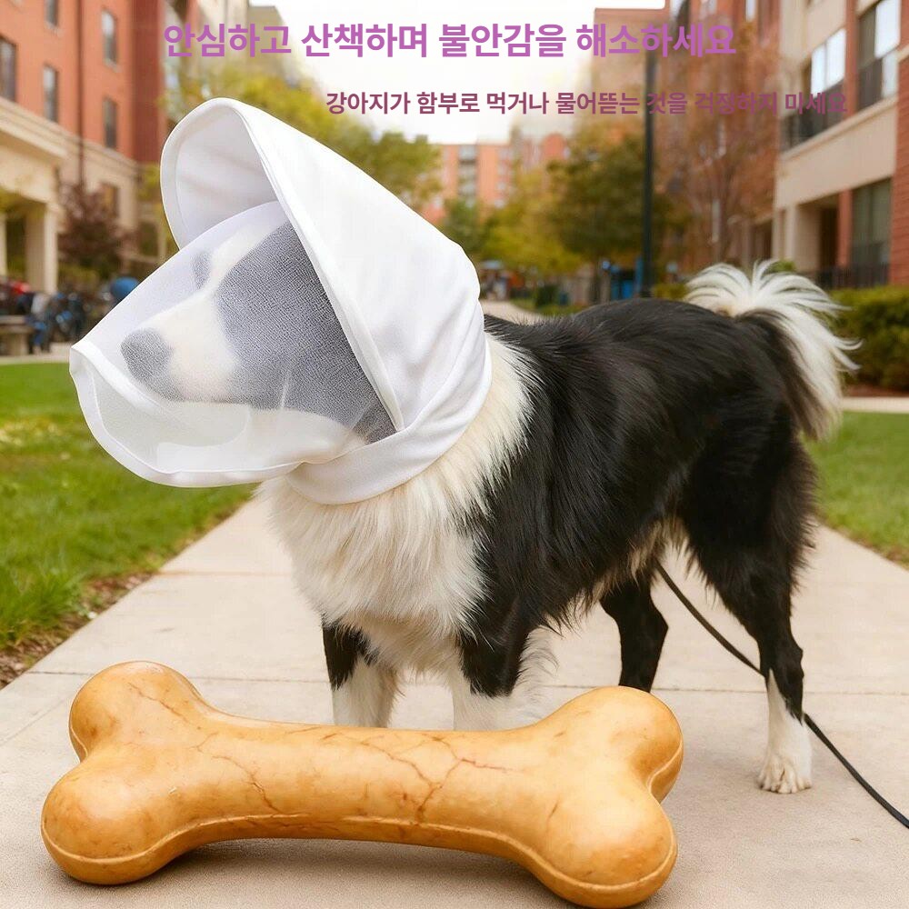 강아지 해충방지망 메쉬 버그가드 벌레 커버 먹지말개 보호 그물 - 상세 이미지 3