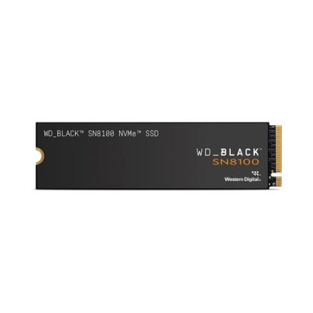 샌디스크 WD BLACK SN8100 M.2 NVMe (1TB)
