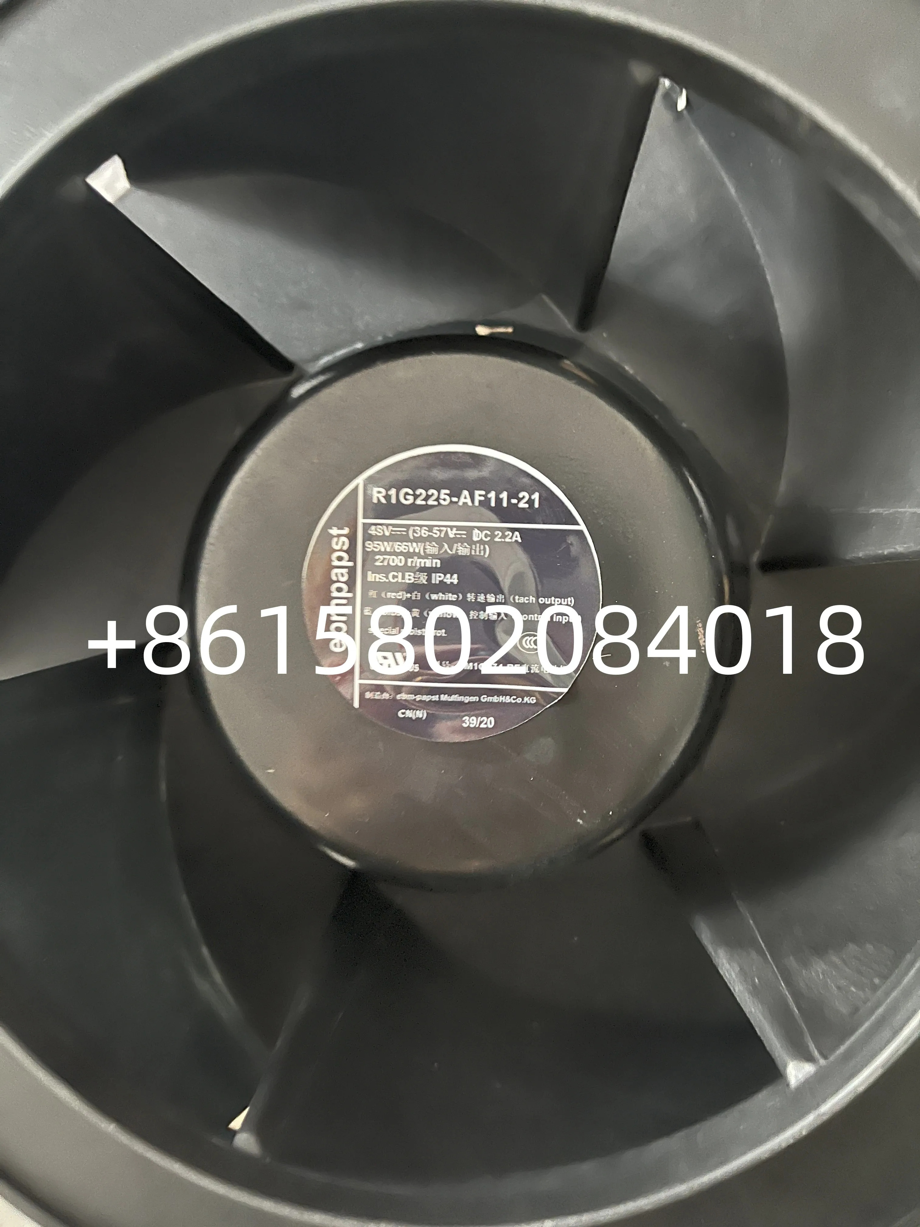 오리지널 R1G225-AF11-21