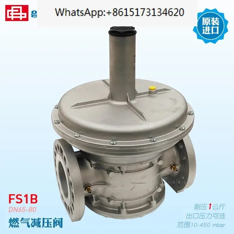 Giuliani 감압밸브 FS1B65 ST1B80 STR100D/CE FSDR 플랜지 필터 코튼 포함