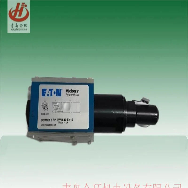 메가 DGM호환X13PPBWB4OEN13 KHDG4V30215745221