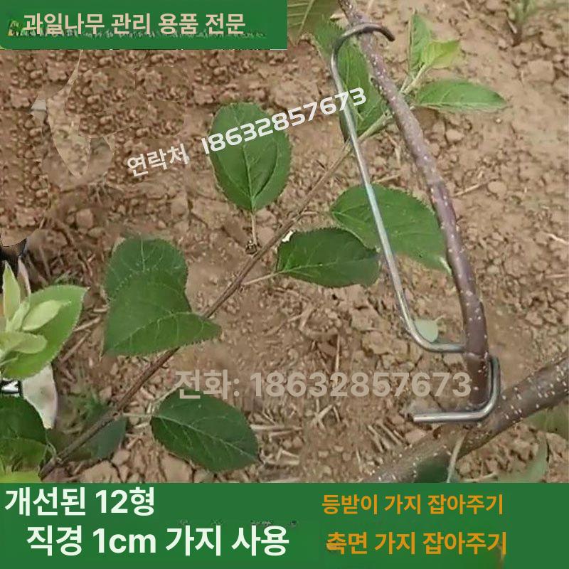 과수 가지유인 지주대 농장 지지대 클립 분재 유인추 철사 정원용 개량형 - 상세 이미지 3