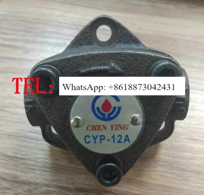 CHENYING 대만성 Changhua Zhenrong 모터 펌핑 오일 공급 삼각형 펌프 CYP-10A-11A-12A-13B