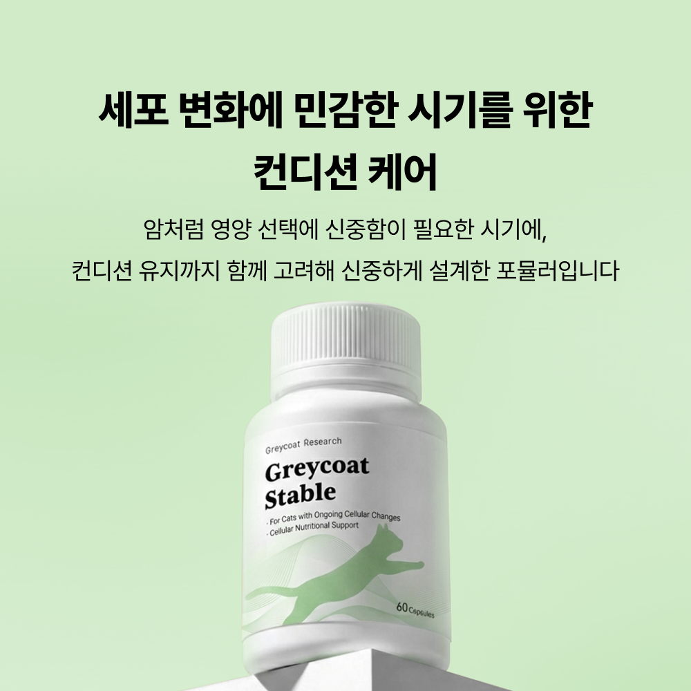 야옹섬 고양이 영양제 항암 보조제 스테이블 암 관리 2개월 60캡슐 - 상세 이미지 2