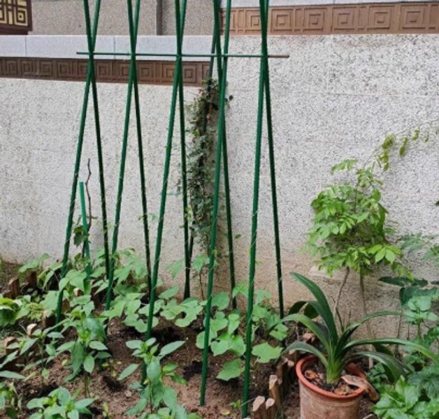 텃밭 식물지지대 지주대 야외 파이프 프레임 스탠드 아치 터널형 넝쿨지지대 넝쿨식물 - 상세 이미지 3