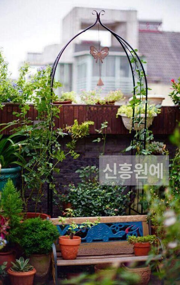 아치형 지지대 스탠드 철제 넝쿨 울타리 조경 이미지 6