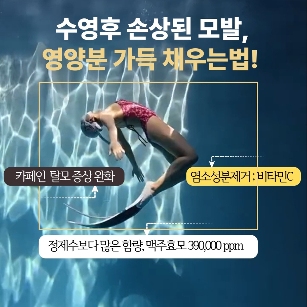 올데이스윔 수영장 염소제거 탈모완화 약산성 맥주효모 수영샴푸 300ml, 1개 - 상세 이미지 5