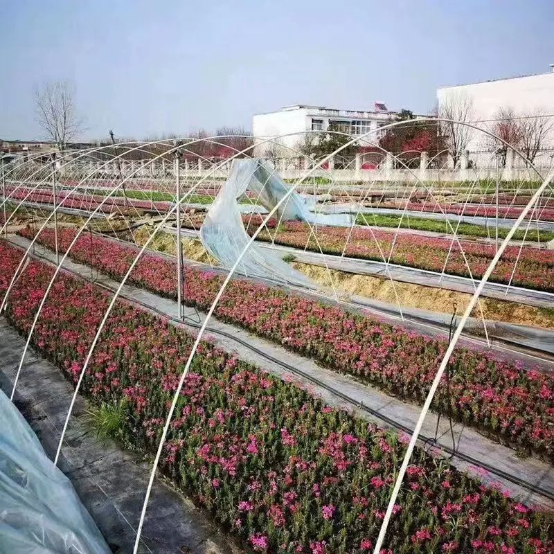 조립식 프레임 지지대 온실 높이 원예 비닐하우스파이프 강관 아치형 구조물 필름 - 상세 이미지 4