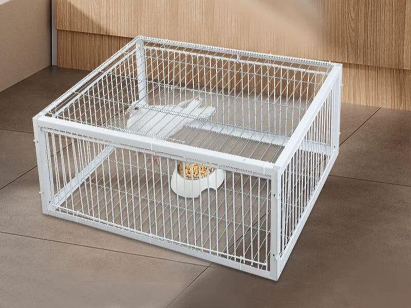 자동 비둘기덫 조립식 철재망 유해조류 퇴치용 참새 방지 야생조류 제거장비 - 상품 이미지