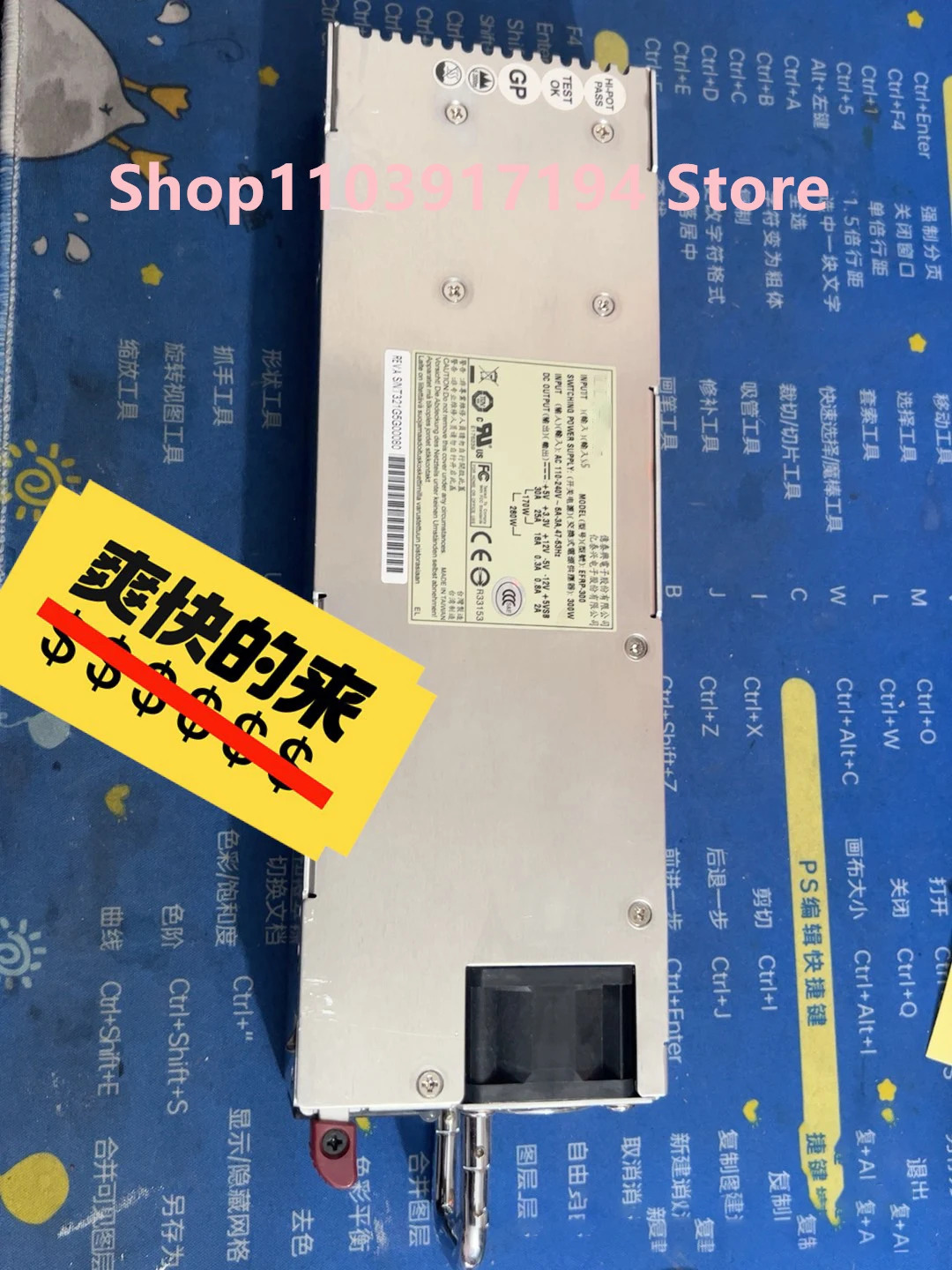 ETASIS EFRP-300 스왑 여분 전원 모듈 300W