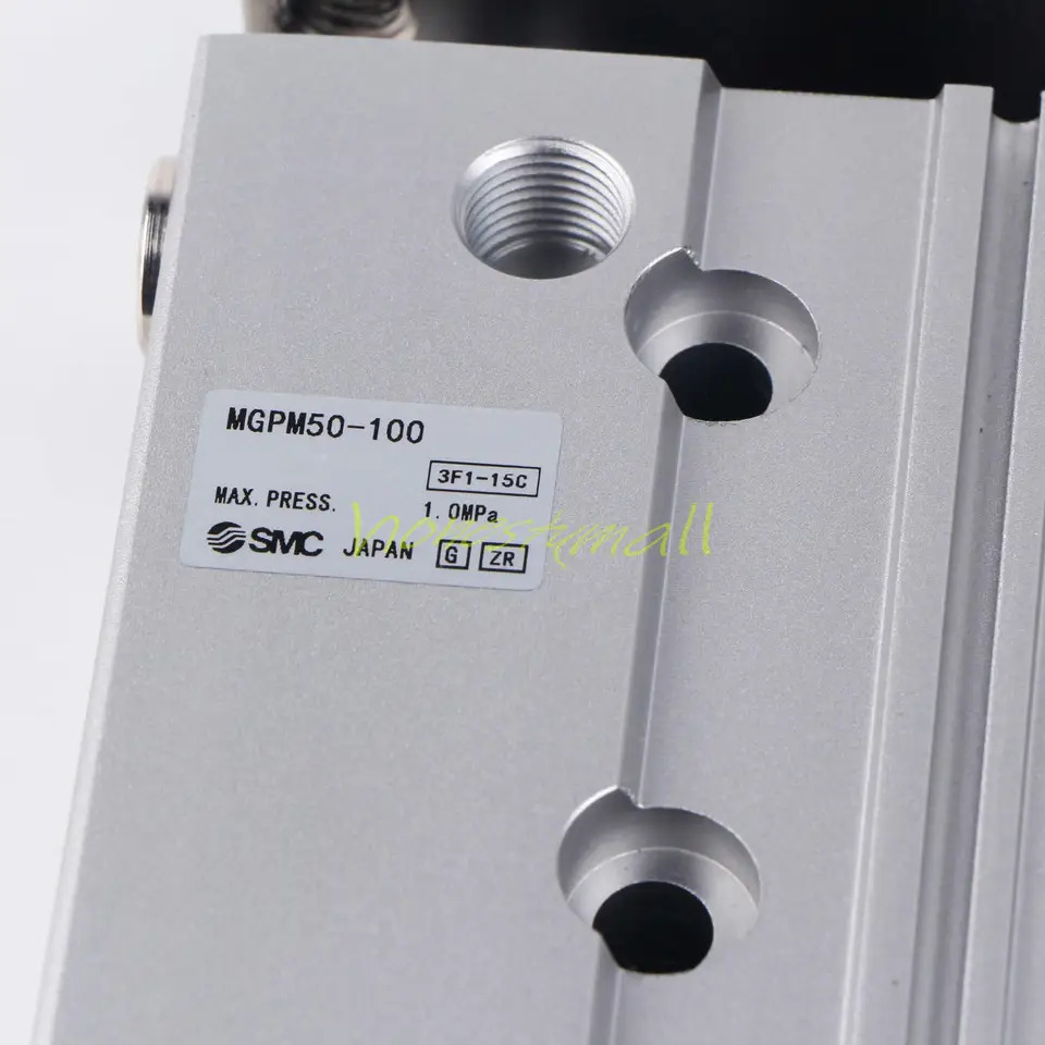 Ein Neu SMC MGPM50-100