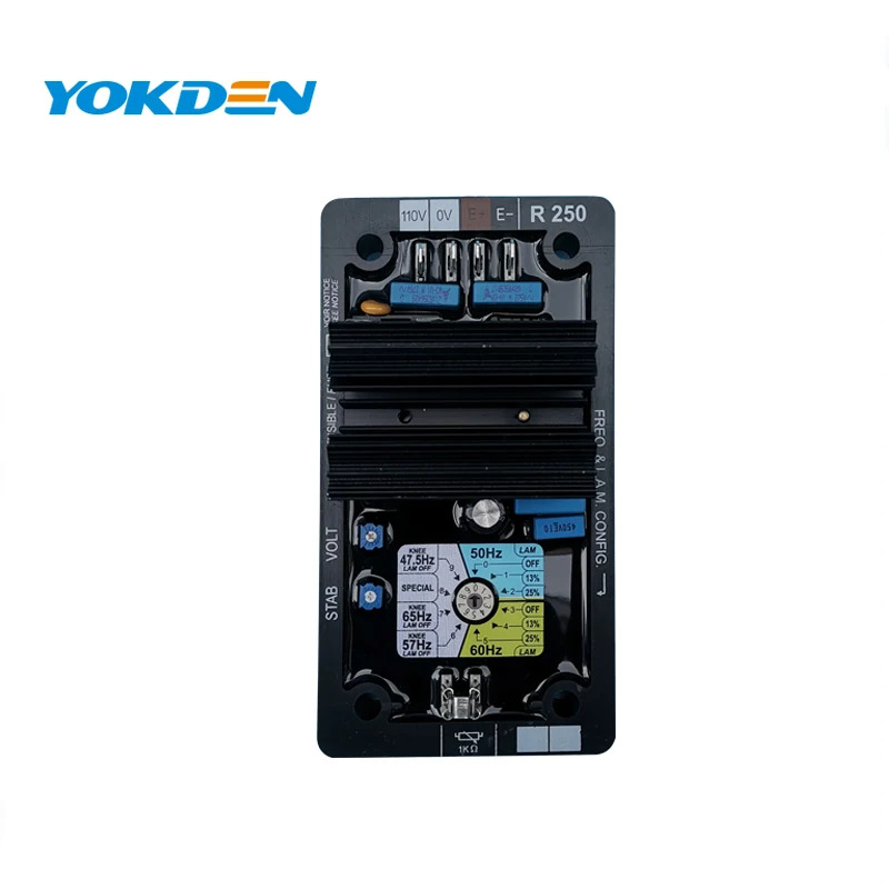 AC 발전기 브러시리스 20kva 전압 조정기 R R250