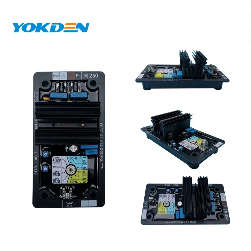 AC 발전기 브러시리스 20kva 전압 조정기 R R250
