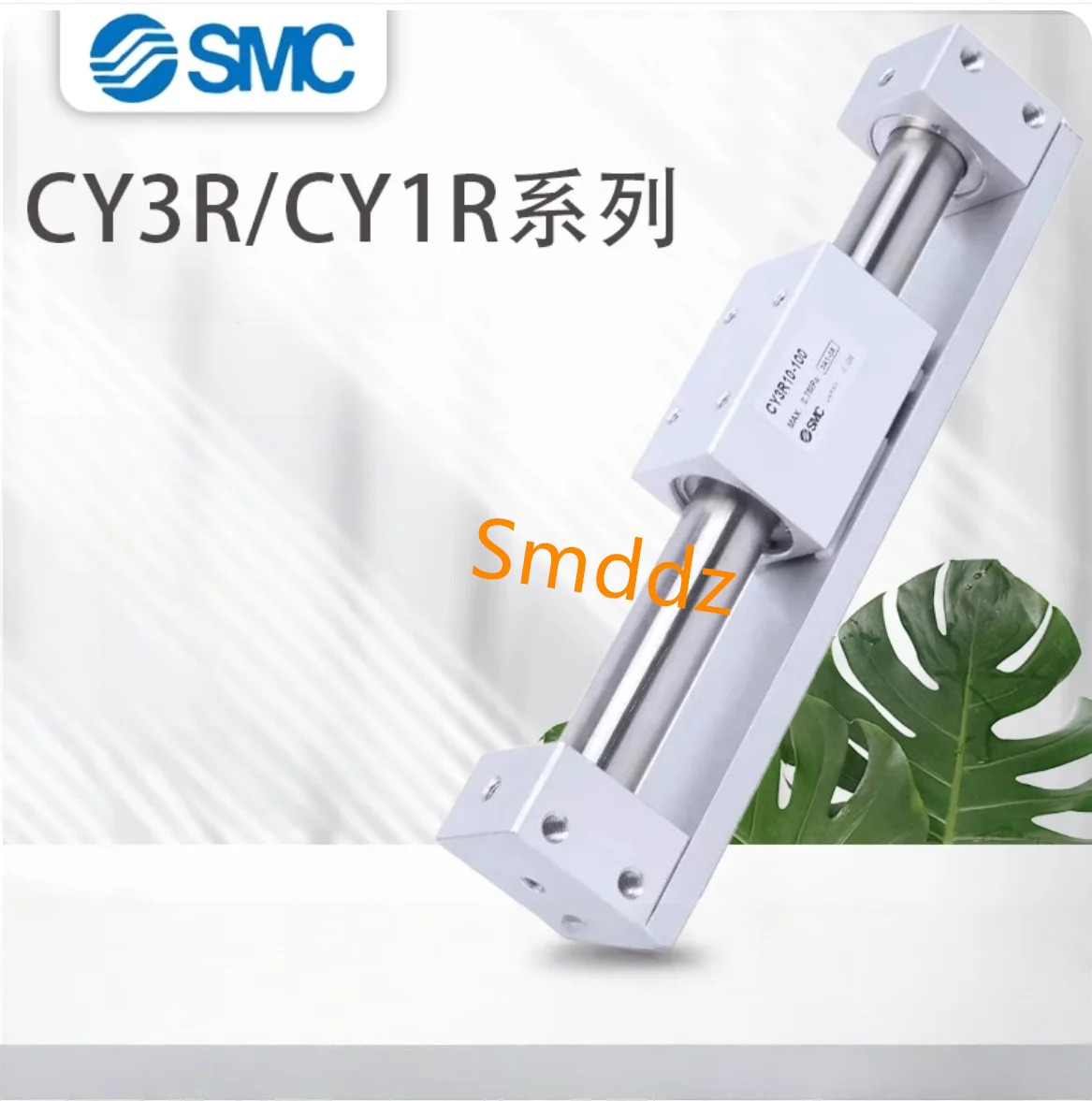 CY1R6-100 CY1R6-200 CY1R6-300 CY1R6-400 CY1R6-500 CY1R10-100 CY1R10-200 CY1R10-300 CY1R10-400 CY1R1