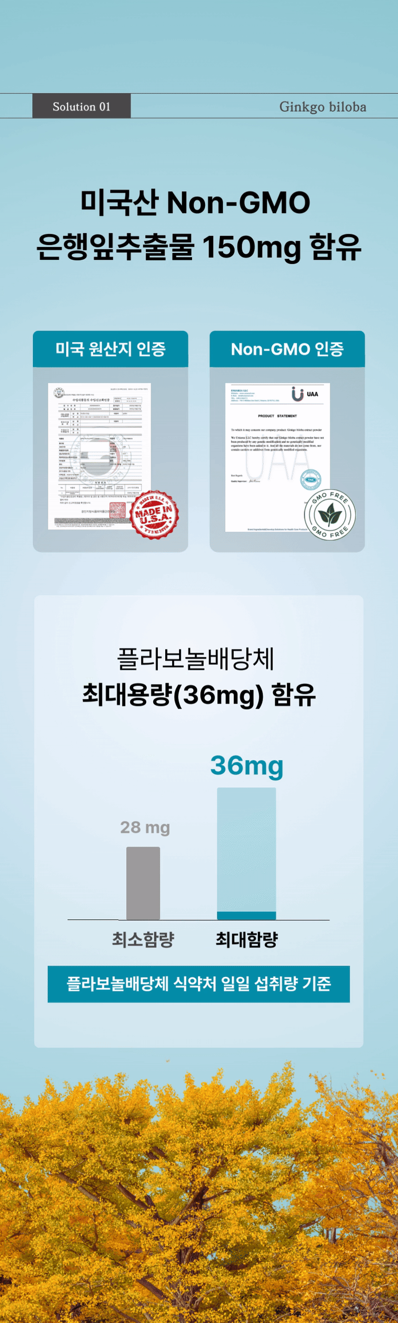 혈액순환 은행잎추출물 플러스 나토키나제 징코 빌로바 혈행 개선 2개월분 영양제 이미지 7