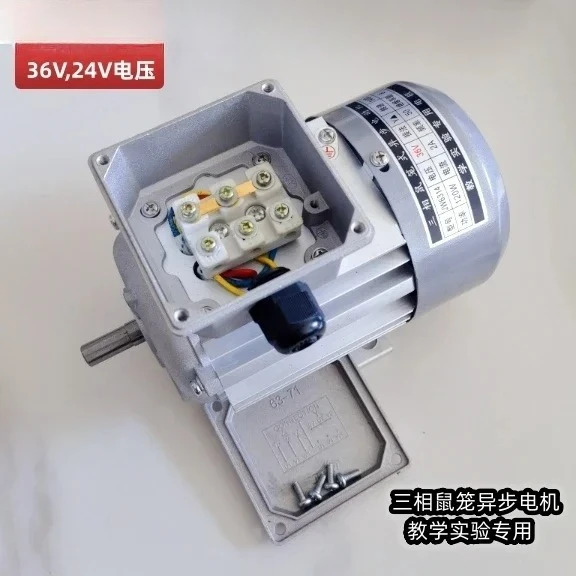 JW6314 36V 24V 전압 3상 쿼르큘 케이지 비동기 모터 교육모터