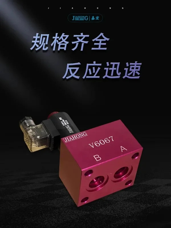 V6067 플매트 카펫 러그전자기 체크밸브 압력 유지 밸브
