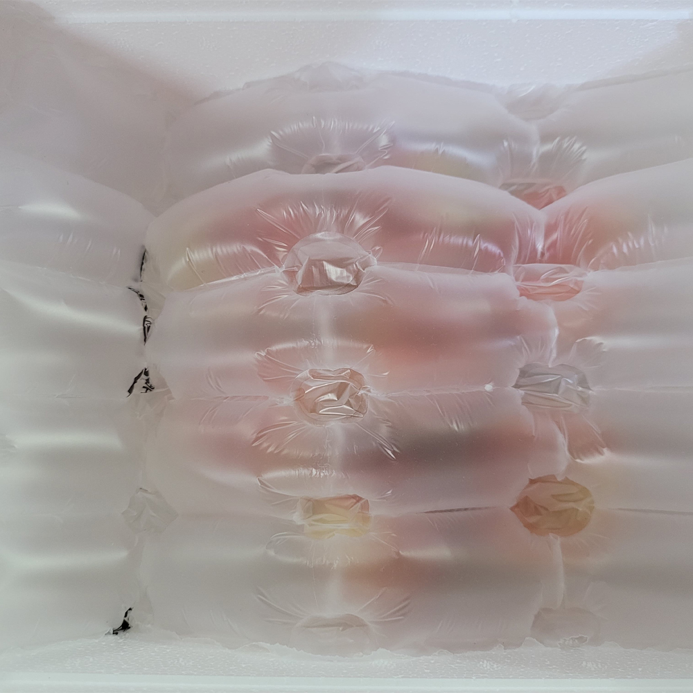 하우스 백도 황도 랜덤 털복숭아 달콤한 말랑복숭아 중소과 로얄과 500g 이미지 8