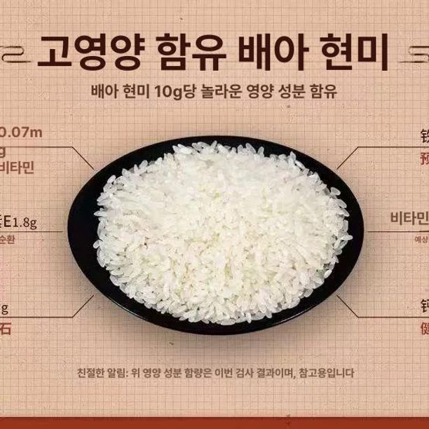전자동 가정용정미기 소형 다기능 탈피기 쌀도정기 분도조절기 모터 배아 나락 탈곡기 - 상세 이미지 3