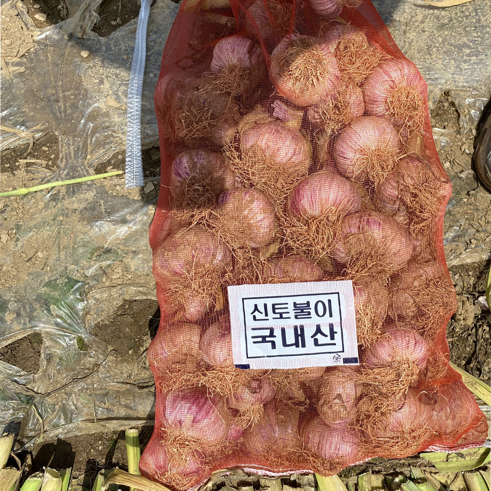 2026 햇마늘 산지직송 국내산 통마늘 제철 생마늘 1kg - 상세 이미지 3