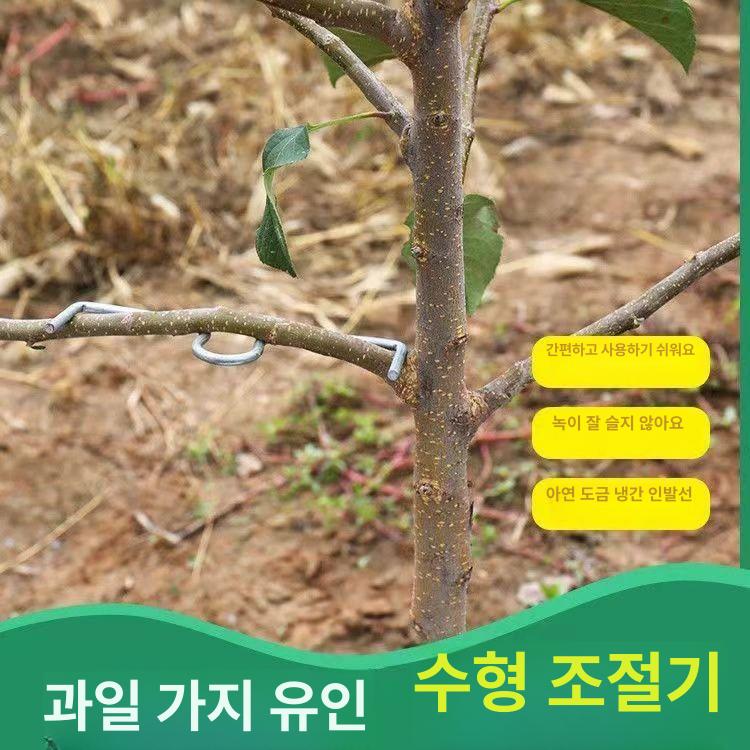 고정 지지대 과수 고추대 유인추 사과나무 나뭇가지 나무가지 가지유인 과일나무 과수지지대 이미지 6