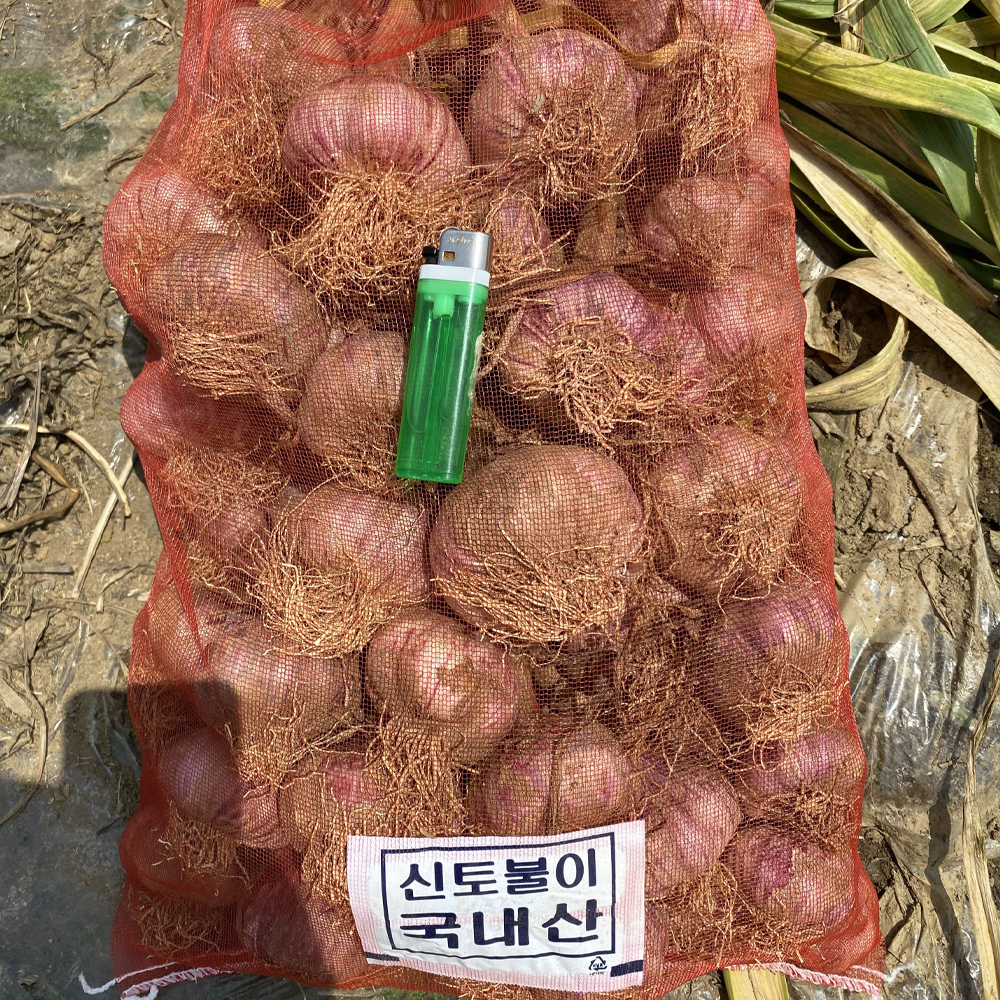 2026 햇마늘 산지직송 국내산 통마늘 제철 생마늘 1kg 이미지 8