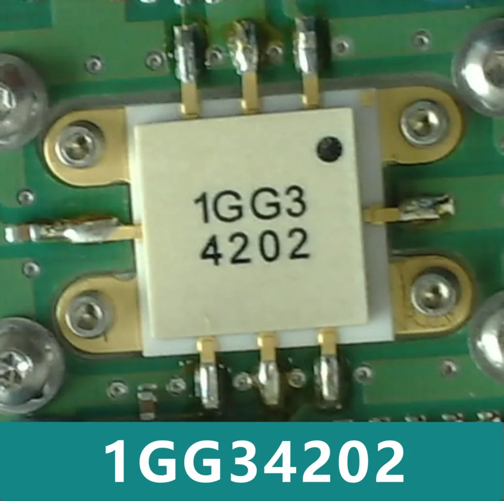 오리지널 1GG34202