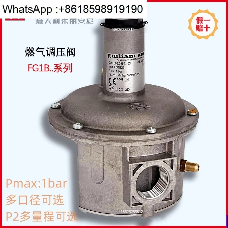 감압밸브 압력 조절 밸브 FG1B15 FG1B25 FG1B40 FG1B50 100 ST1B80