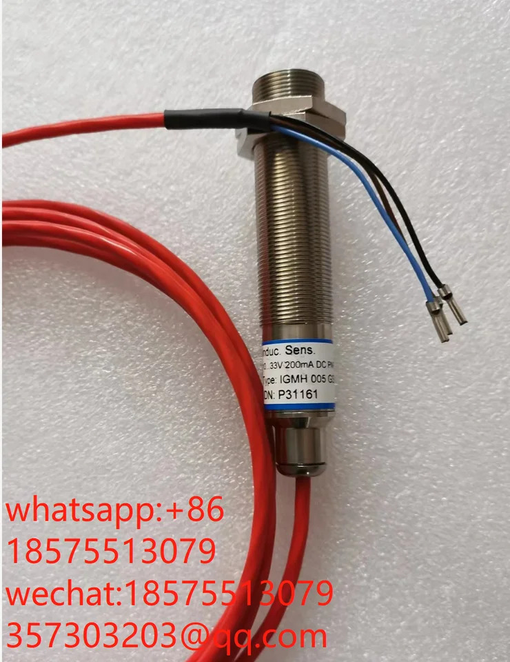 EGE-Elektronik고온 스위치 P31161 P31162 P31164 P30709 S76539 신 오리지널