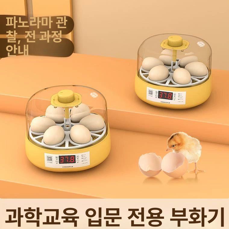 가정용부화기 달걀 자동 메추리부화기 소형 부화 인큐베이터 유정란 온도 계란부화기 - 상세 이미지 3