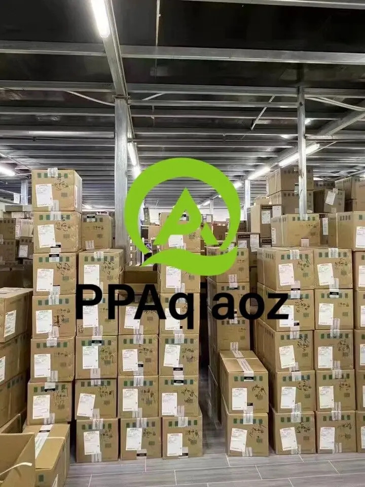 PILZ 774502 PNOZ XV2 안전 릴레이 3/24VDC 2n/o t
