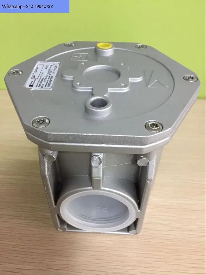 천연 필터 FMF1060300IA FMF10603 DN25 DN40 DN50