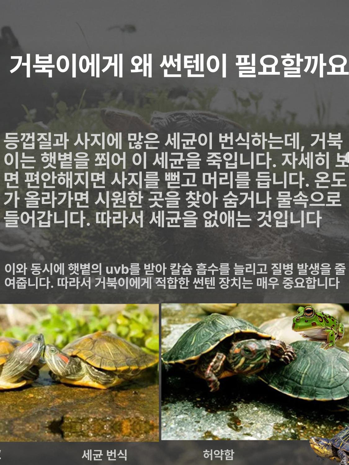 거북이 육지 놀이터 은신처 사육장 일광욕 파충류 집 햇빛 인테리어용 - 상세 이미지 3