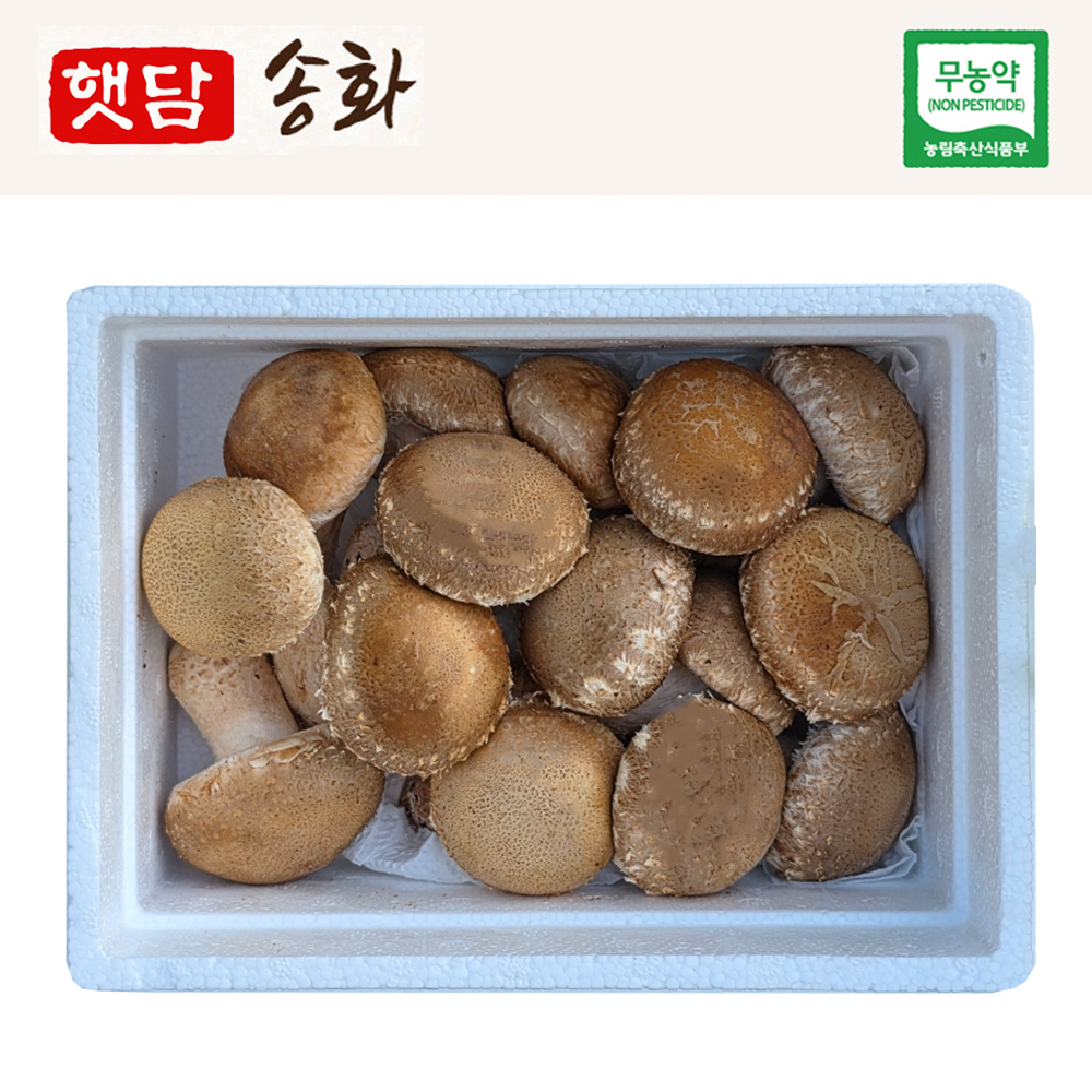 [햇담송]국내산 친환경 햇담송화 중급&고급형 대형마트 백화점등급 송이향 송화고버섯 송고 - 상품 이미지