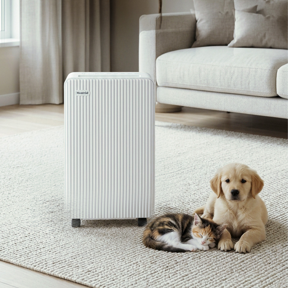 몽트라드 가정용 제습기 저소음 초슬림 원룸 대용량 12L 이미지 7