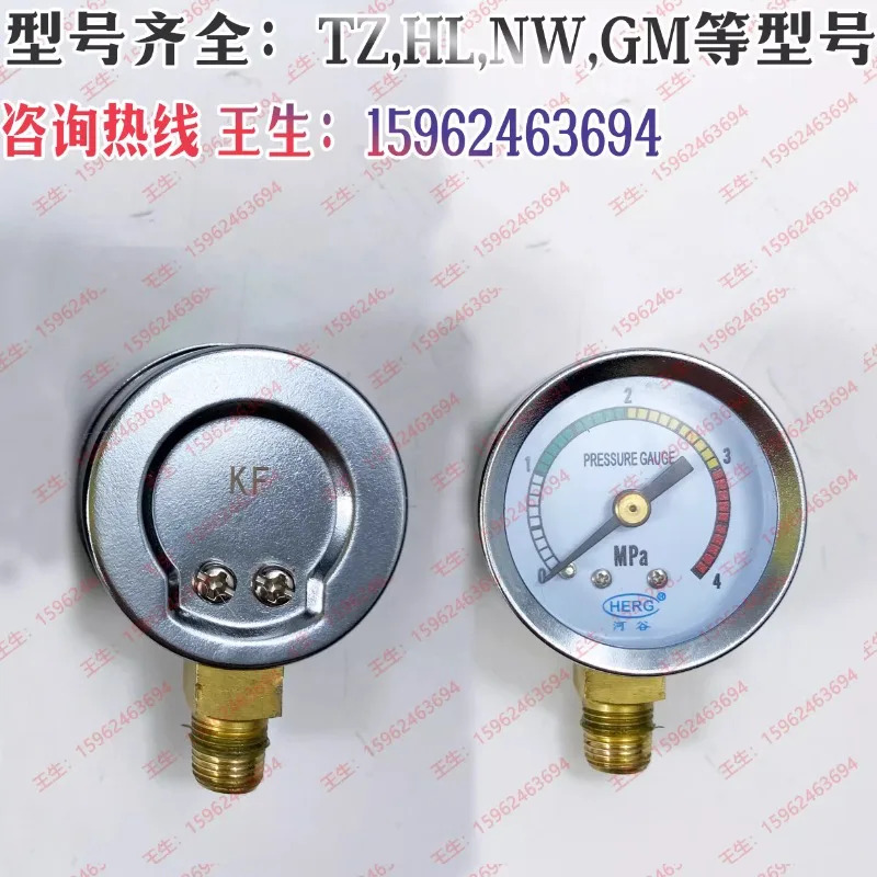 HERG 밸리 윤활유 펌프 인젝터 4MPa 압력 게이지 오일 TZ-2202-210X 2232-410X