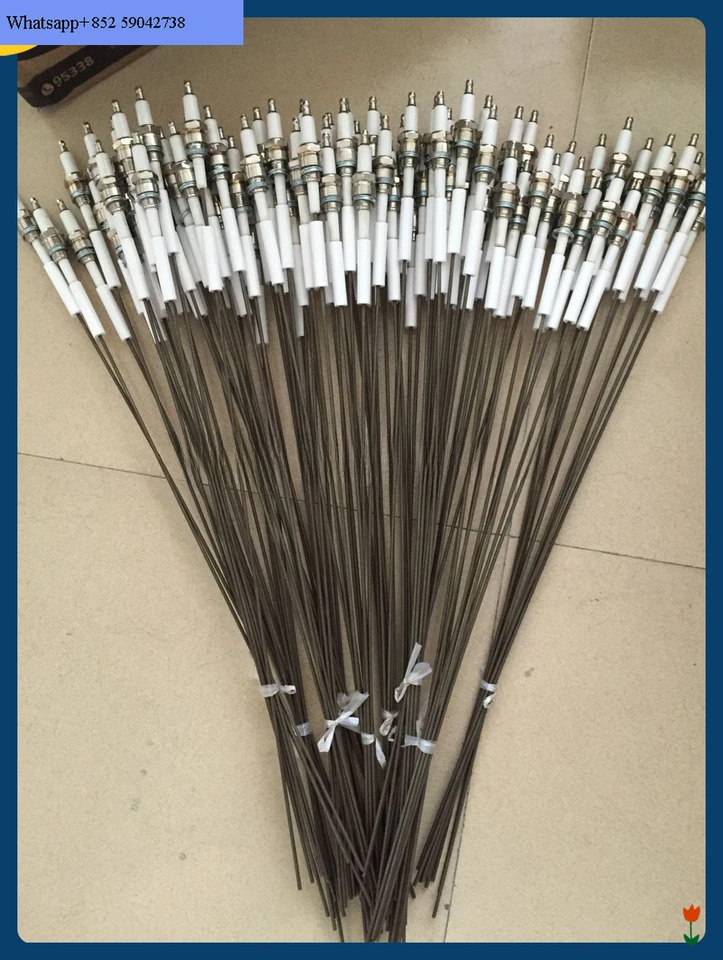 점화 막대 전극 M14 x 1.25 스레드 L 650mm 감지 와이어 직경 m
