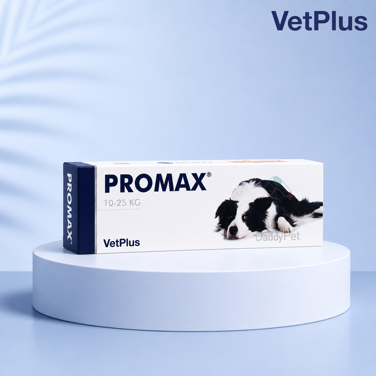 벳플러스 프로맥스 18ml 중형견 강아지 유산균 장 건강 필수 영양제 프로멕스 PROMAX 미디움 - 상품 이미지