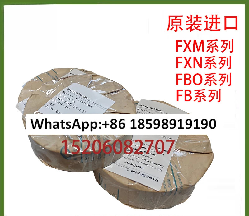 오버러닝 클러치 FXM100-50MX/H55 백스톱 RINGSPANNFXM140