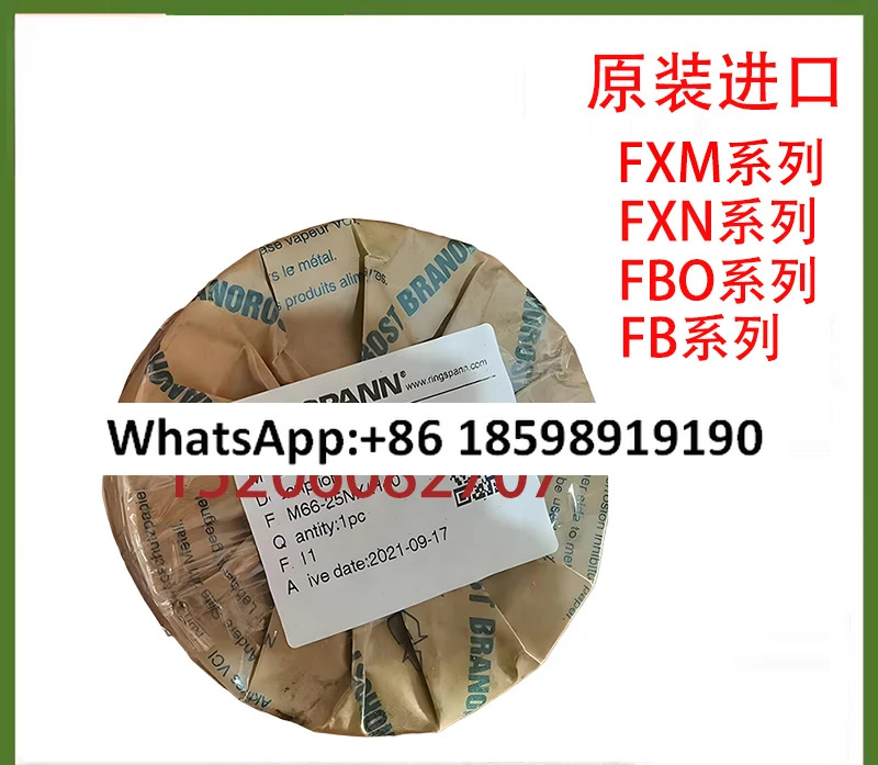 오버러닝 클러치 FXM100-50MX/H55 백스톱 RINGSPANNFXM140